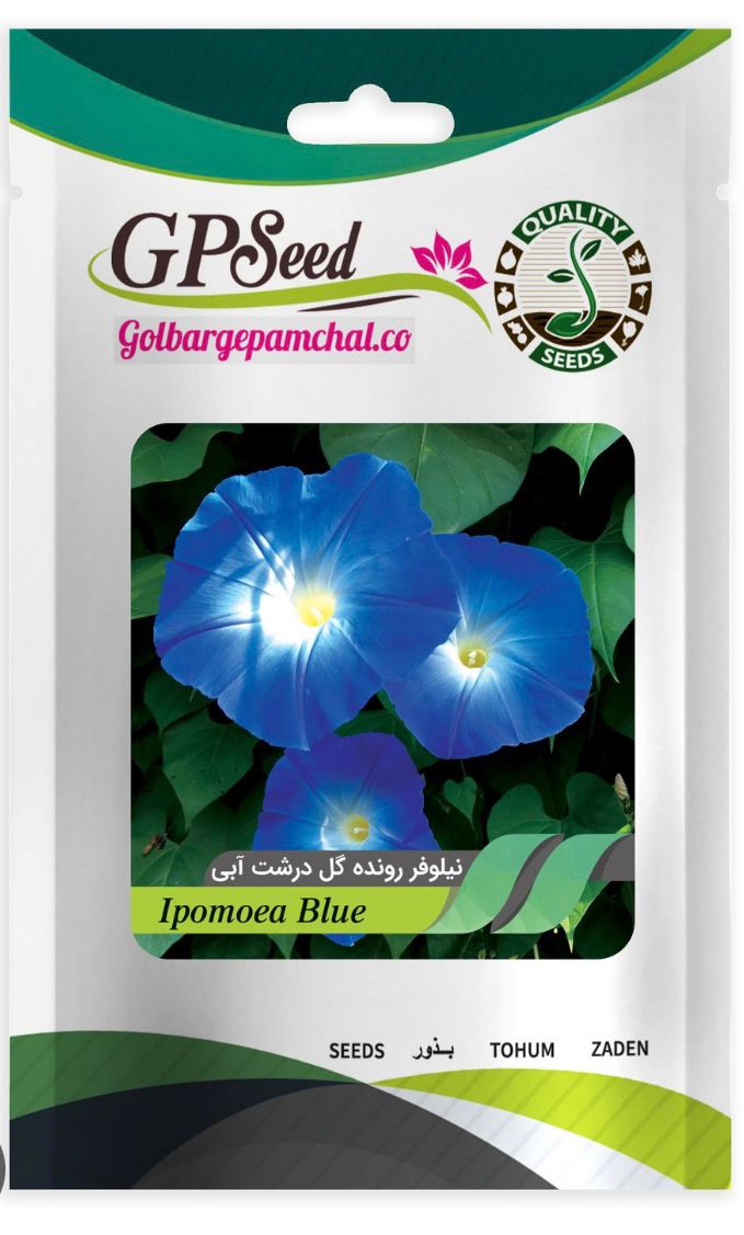 گل های زینتی